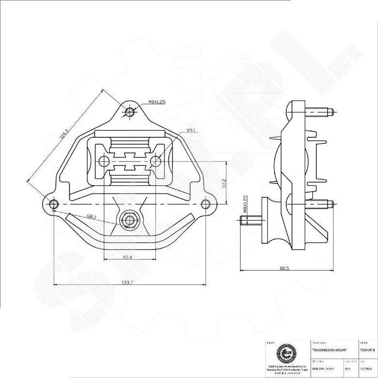 Esen SKV 75SKV818 - Mounting, automatic transmission car-mod.net