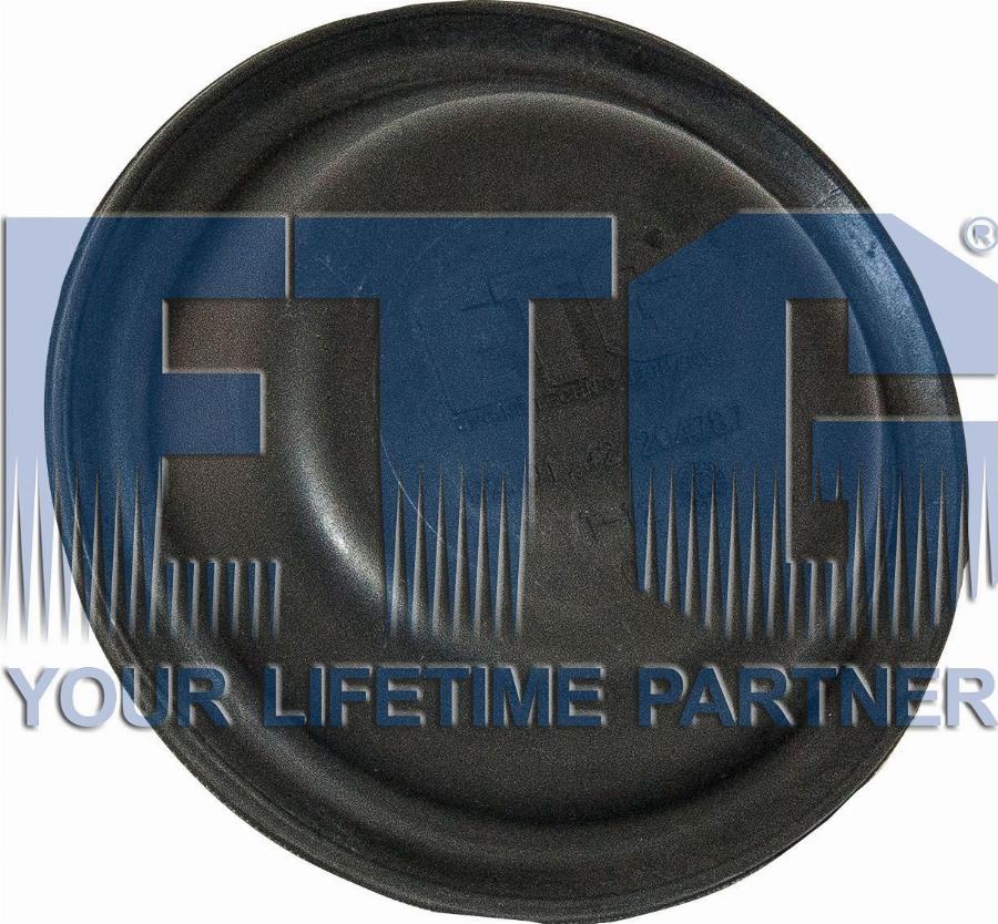ETG Automotive 02.01.42.204787 - Diaphragm, diaphragm brake cylinder car-mod.net