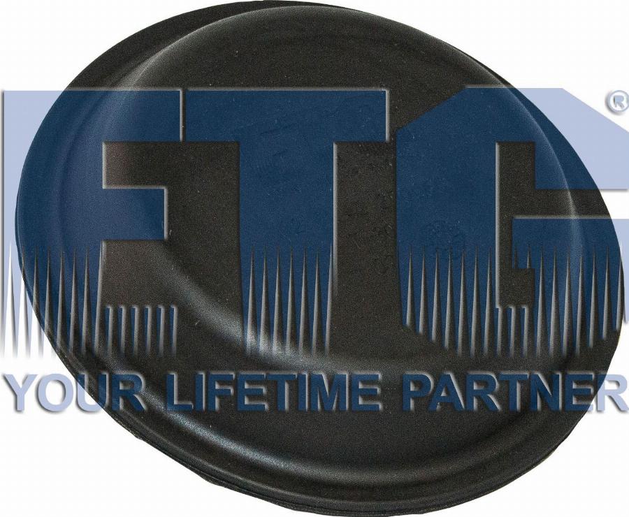 ETG Automotive 02.01.42.200060 - Diaphragm, diaphragm brake cylinder car-mod.net