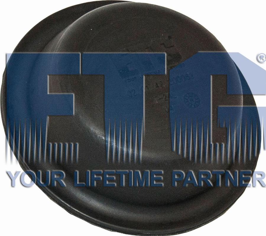 ETG Automotive 02.01.42.200063 - Diaphragm, diaphragm brake cylinder car-mod.net
