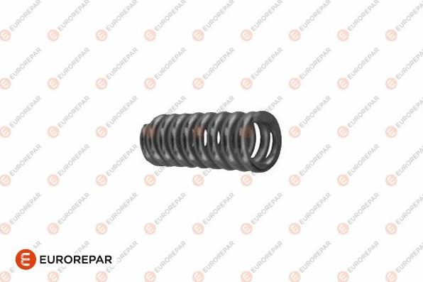 EUROREPAR 1607361780 - Spring, exhaust pipe car-mod.net