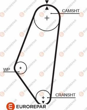 EUROREPAR 1633136480 - Timing Belt car-mod.net