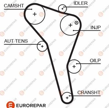 EUROREPAR 1633129180 - Timing Belt car-mod.net