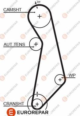 EUROREPAR 1633129880 - Timing Belt car-mod.net