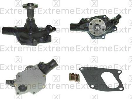 EXTREME 98980004 - Water Pump car-mod.net