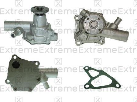 EXTREME 98980018 - Water Pump car-mod.net