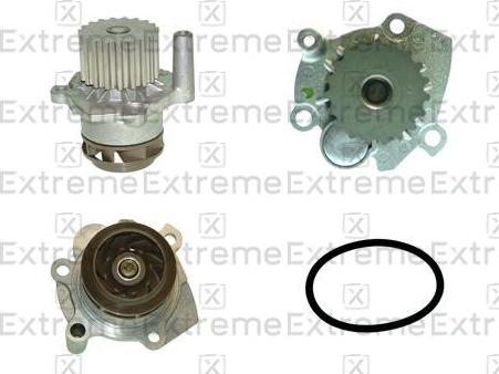 EXTREME 98730019 - Water Pump car-mod.net
