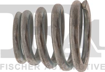 FA1 785-901 - Spring, silencer car-mod.net