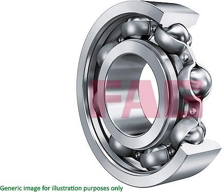 FAG 6007.2RSR - Bearing car-mod.net