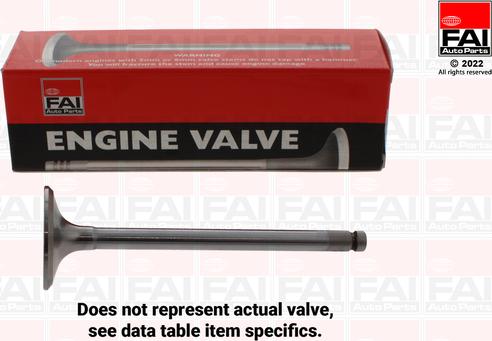FAI AutoParts EV33416 - Outlet valve car-mod.net
