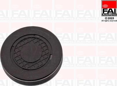 FAI AutoParts RMG880B - Plug, rocker arm shaft mounting bore car-mod.net