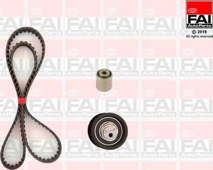 FAI AutoParts TBK99 - Timing Belt Set car-mod.net