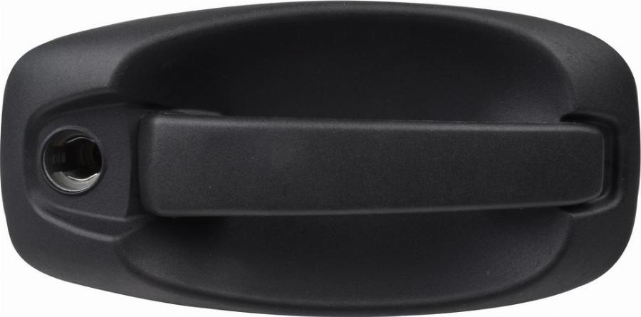 Fast FT94555 - Door Handle car-mod.net