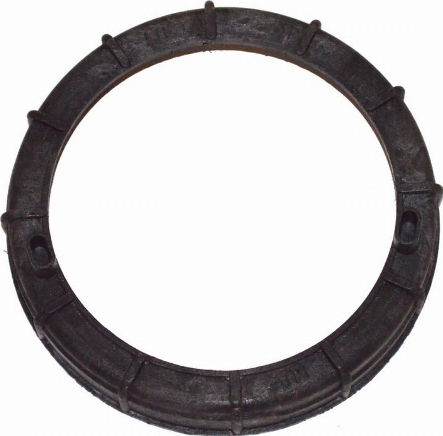 Fast FT94646 - Seal, fuel sender unit car-mod.net
