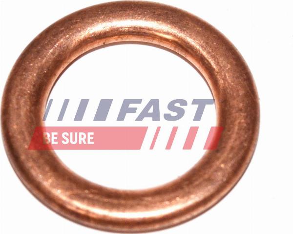 Fast FT94715 - Seal, oil filler cap car-mod.net