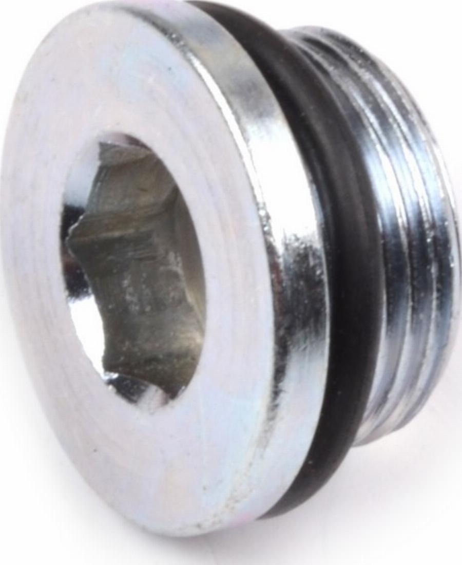 Fast FT94713 - Sealing Plug, oil sump car-mod.net