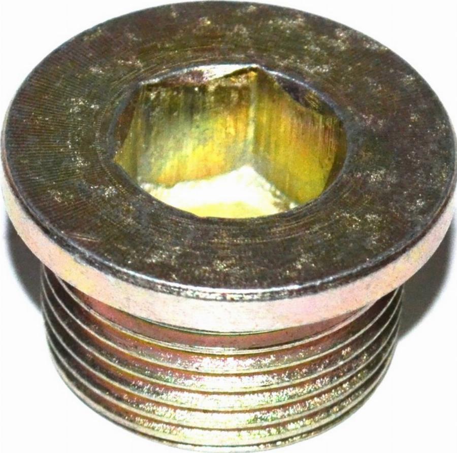 Fast FT94717 - Sealing Plug, oil sump car-mod.net