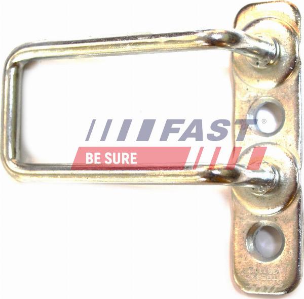 Fast FT95447 - Guide, locking knob, pin car-mod.net