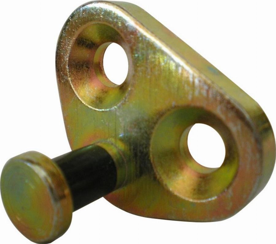 Fast FT95424 - Guide, locking knob, pin car-mod.net
