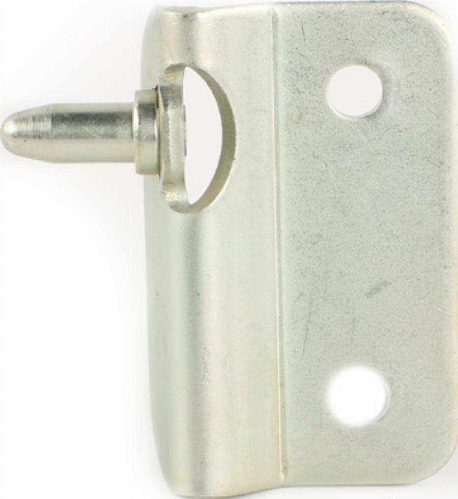 Fast FT95606 - Guide, locking knob, pin car-mod.net