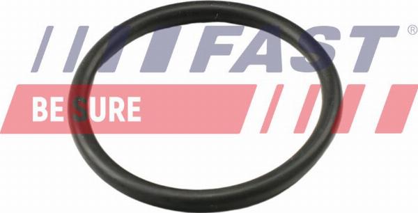 Fast FT49917 - Gasket, thermostat car-mod.net