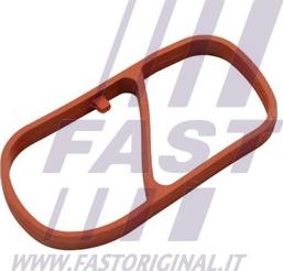 Fast FT49454 - Gasket, intake manifold car-mod.net