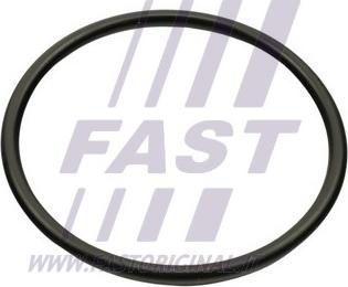 Fast FT49460 - Gasket, intake manifold car-mod.net