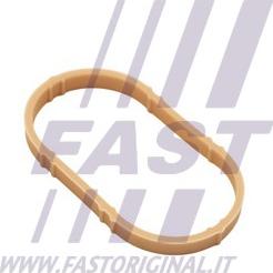 Fast FT49461 - Gasket, intake manifold car-mod.net