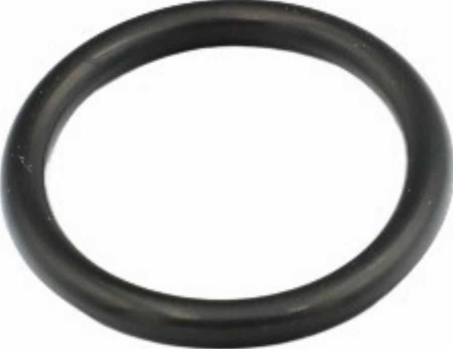 Fast FT49856 - Gasket, coolant flange car-mod.net