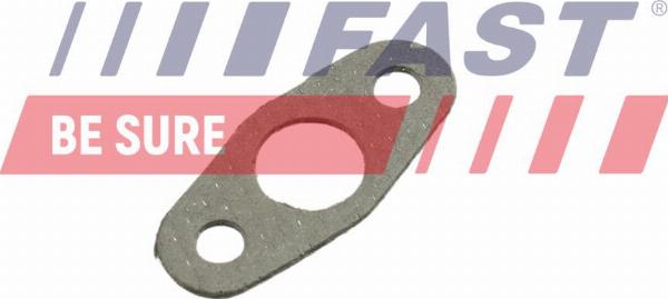 Fast FT48801 - Seal, turbine inlet (charger) car-mod.net