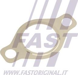 Fast FT50618 - Seal, EGR valve car-mod.net