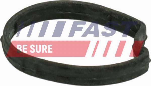 Fast FT58301 - Gasket, thermostat housing car-mod.net