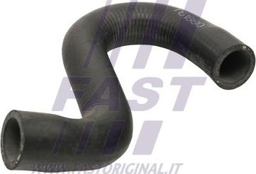 Fast FT61880 - Radiator Hose car-mod.net