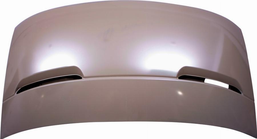 Fast FT89118 - Bonnet, hood car-mod.net