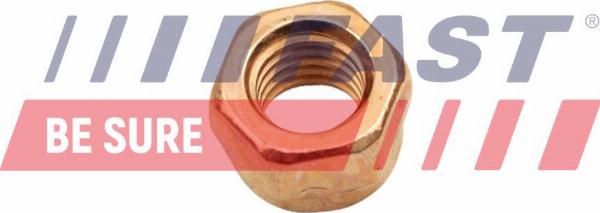 Fast FT84702 - Nut, exhaust manifold car-mod.net