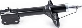 Febest 0407G-008F - Shock Absorber car-mod.net