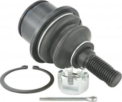 Febest 1020-TRBLOWF - Ball Joint car-mod.net