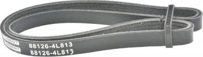Febest 88126-4L813 - V-Ribbed Belt car-mod.net