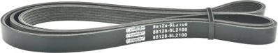Febest 88128-6L2100 - V-Ribbed Belt car-mod.net