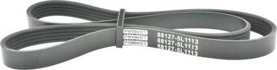 Febest 88127-5L1113 - V-Ribbed Belt car-mod.net
