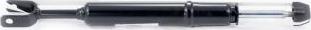 Febest 2307G-020F - Shock Absorber car-mod.net