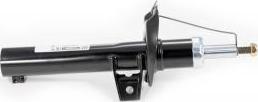 Febest 2307G-023F - Shock Absorber car-mod.net