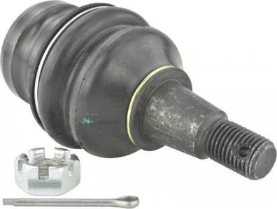 Febest 2320-Q5LOWF - Ball Joint car-mod.net