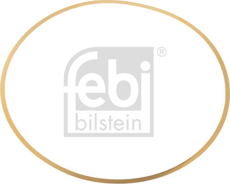 Febi Bilstein 49541 - O-Ring, cylinder sleeve car-mod.net