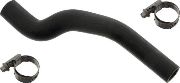FEBI Bilstein 49164 - Radiator Hose car-mod.net