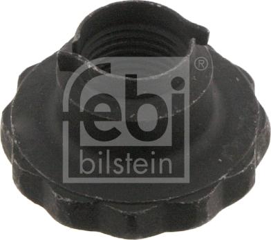 FEBI Bilstein 46689 - Nut, stub axle car-mod.net
