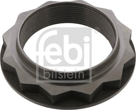 Febi Bilstein 46180 - Nut, stub axle car-mod.net