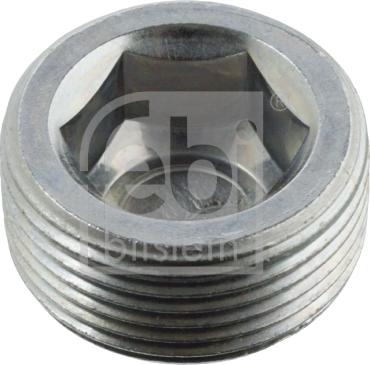 Febi Bilstein 04516 - Screw Plug, axle drive car-mod.net