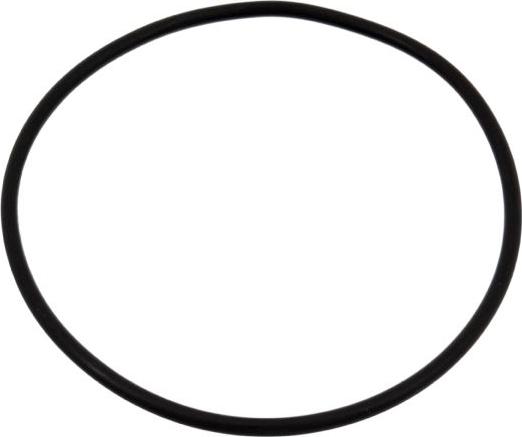 Febi Bilstein 04734 - Gasket, water pump car-mod.net
