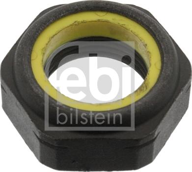 Febi Bilstein 06243 - Nut, stub axle car-mod.net